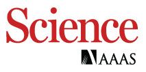 American Association for the Advancement of Science (AAAS)